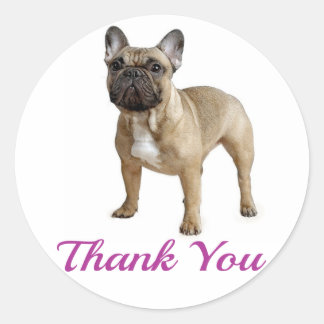 Thank You For Groomers Gifts - 100+ Gift Ideas | Zazzle