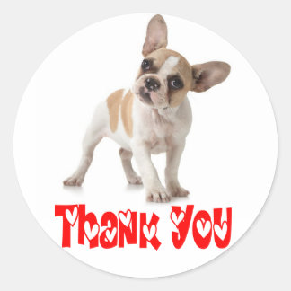French Bulldog Thank You Gifts on Zazzle