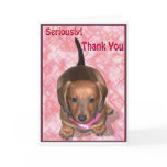 Thank You from A little Dachshund Puppy cards