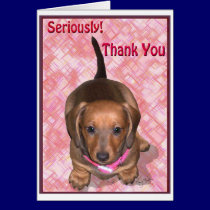 Thank You from A little Dachshund Puppy cards