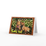 Thank You! From one Dachshund to another.......... Greeting Cards