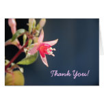 THANK YOU Fuschia Card