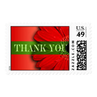 Thank You Gerbera Daisy Acknowledgement Postage