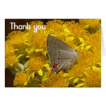 THANK YOU GRAY HAIRSTREAK greeting card