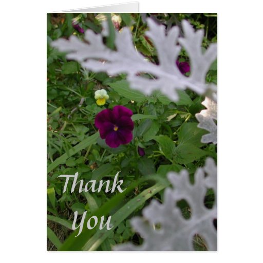 Thank You Greeting Card | Zazzle