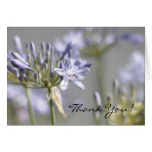 Thank you greeting card