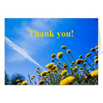 Thank you! cards