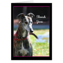 Thank You Greyhound greeting card