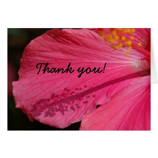 THANK YOU Hibiscus Card