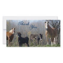 Thank You- Horses, Pony, and Donkey Photocards Picture Card