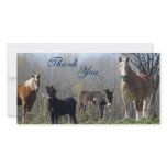 Thank You- Horses, Pony, and Donkey Photocards Picture Card