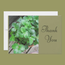 Thank   You, invitations