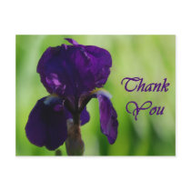 Thank You - Iris Postcards