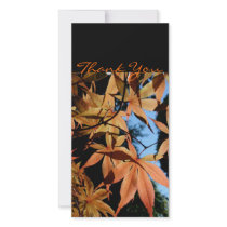 Thank you - Japanese maple - photo cards by PBsecretgarden Thank you - Japanese maple - photo cards