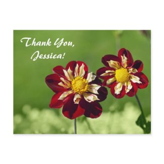 Thank You, Jessica! Postcard