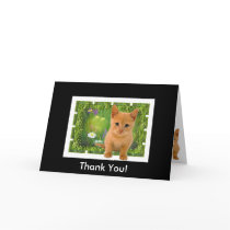 Thank you Kitten Card