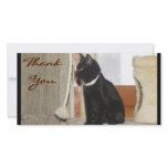 Thank You Kitten Photocards Picture Card