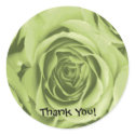 Thank You Lime Green Rose Sticker