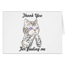 Thank you -looking after cat greeting cards