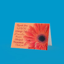 Thank You - many languages Orange cards