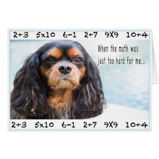 Thank You Math Teacher Card Zazzle