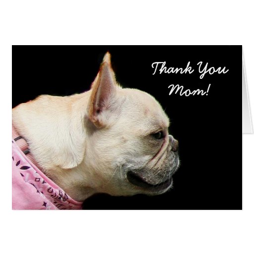 Thank You Mom French Bulldog Greeting Card Zazzle