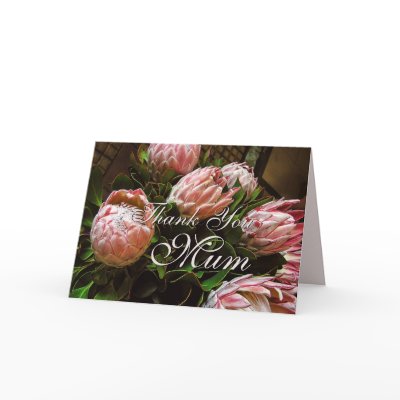 Thank You Mum Protea flower Card by webgrrl