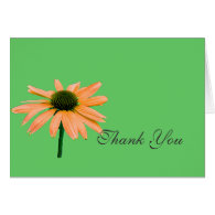 thank you note,daisy flowers greeting card