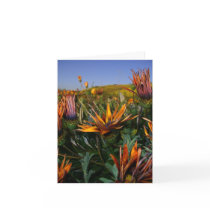 Thank you note: Field of Flowers cards by firecreations Thank you note: Field of Flowers cards