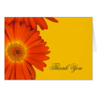thank you orange gerbera daisy flowers cards
