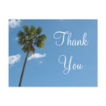 Thank You palm tree Postcard