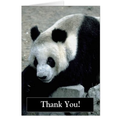 Thank You Panda Bear Card