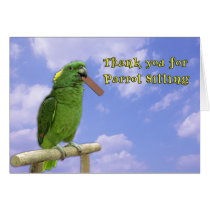 Thank You Parrot Sitting cards