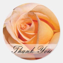 Thank You Peach Rose Sticker