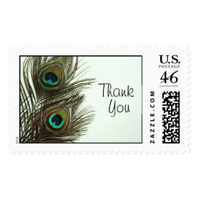 Thank You Peacock Feather Stamp