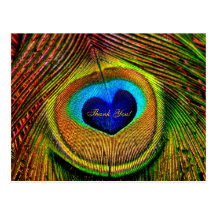 Thank You Peacock Feathers Eye of Love Post Cards