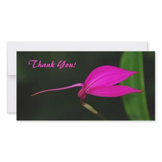 Thank You Photo Card