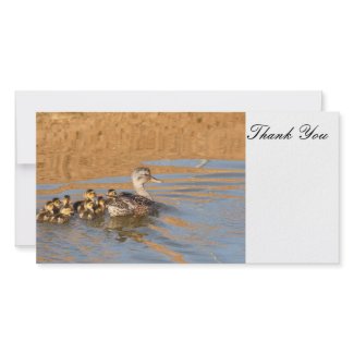 Thank You, Photo Card photocard