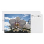 Thank You, Photo Card