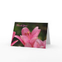 THANK YOU Pink Lily Card