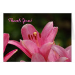 THANK YOU Pink Lily Card