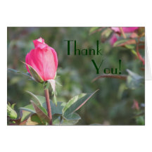 Thank you! Pink Rosebud Greeting Card