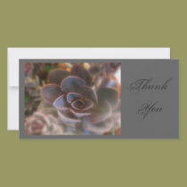 Thank  You, Pink Succulent photo cards