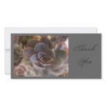 Thank  You, Pink Succulent Photo Card