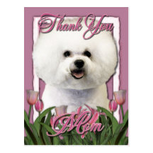 Thank You - Pink Tulips - Bichon Frise Post Card