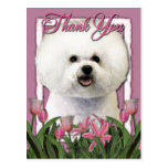 Thank You - Pink Tulips - Bichon Frise Post Card