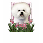 bichon, frise, thank, you, thank you, dog, dogs,