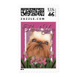 Thank You - Pink Tulips - Brussels Griffon postage