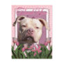 Thank You - Pink Tulips - Pitbull - Jersey Girl Post Card
