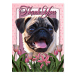 Thank You - Pink Tulips - Pug Post Card